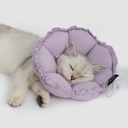 Daisy Recovery Collar