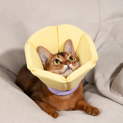 Cozy Sponge Recovery Collar
