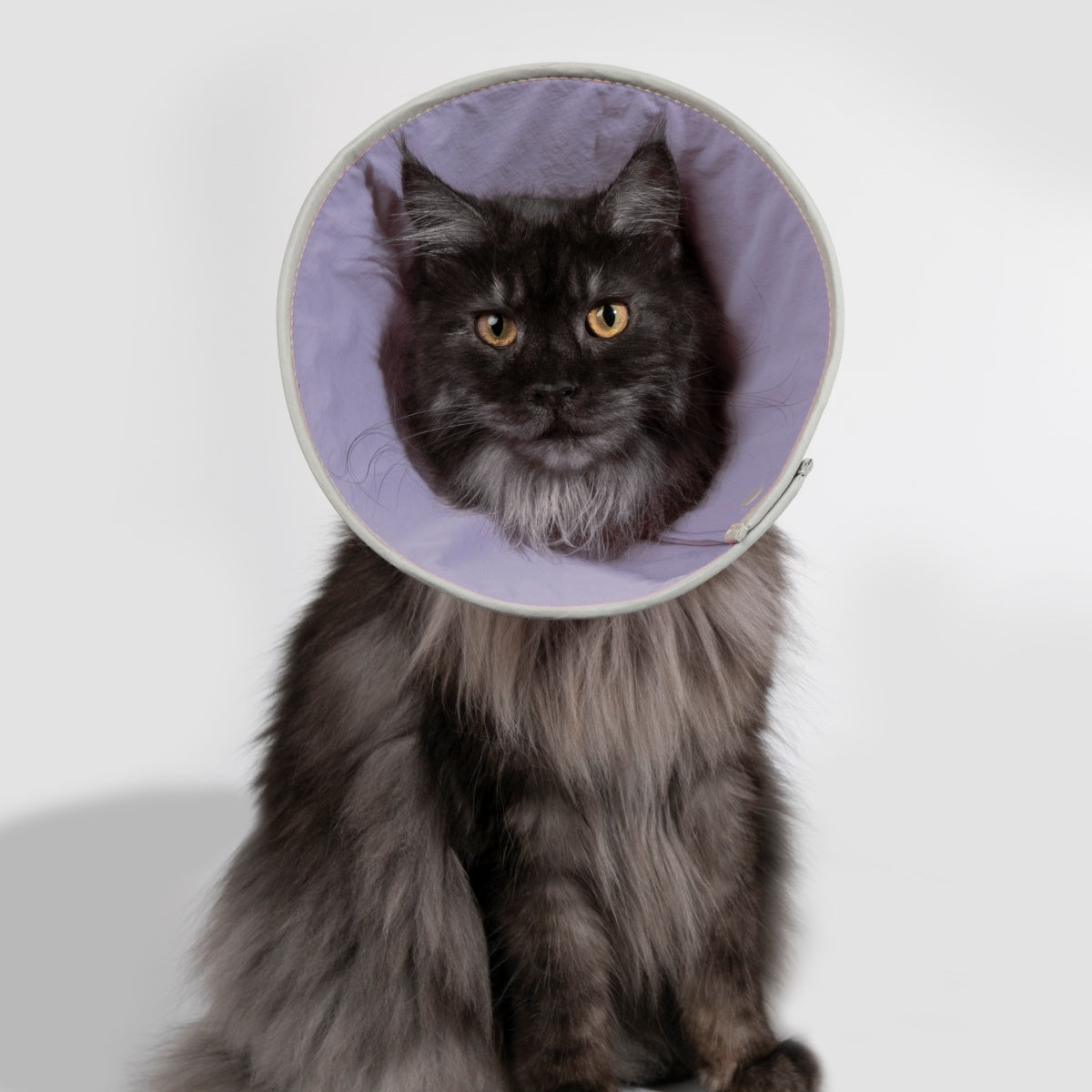 Snap-Button Cone Recovery Collar