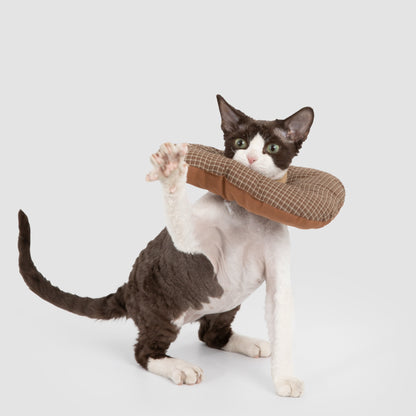 Toast Pet Recovery Collar