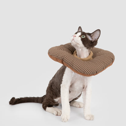 Toast Pet Recovery Collar