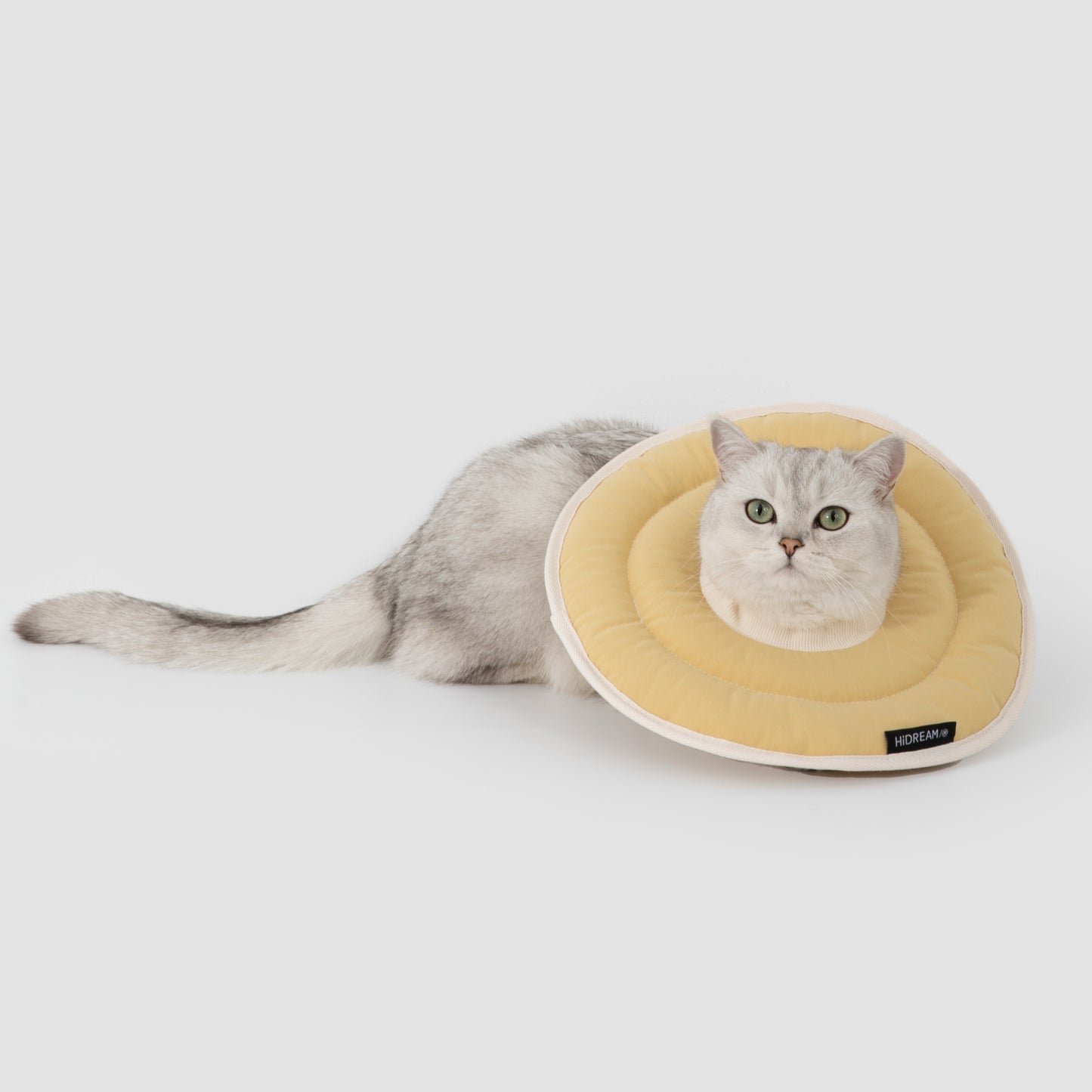 Donut Pet Recovery Collar