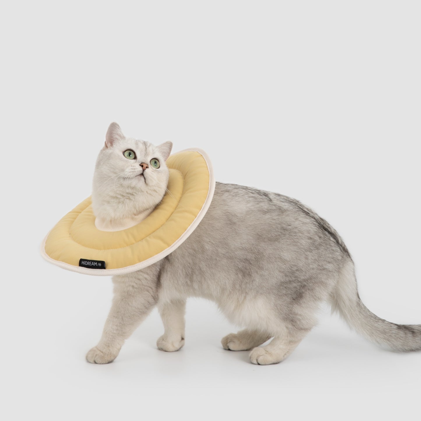 Donut Pet Recovery Collar