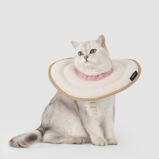 Donut Pet Recovery Collar