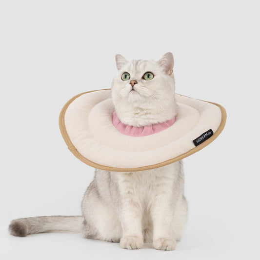 Donut Pet Recovery Collar