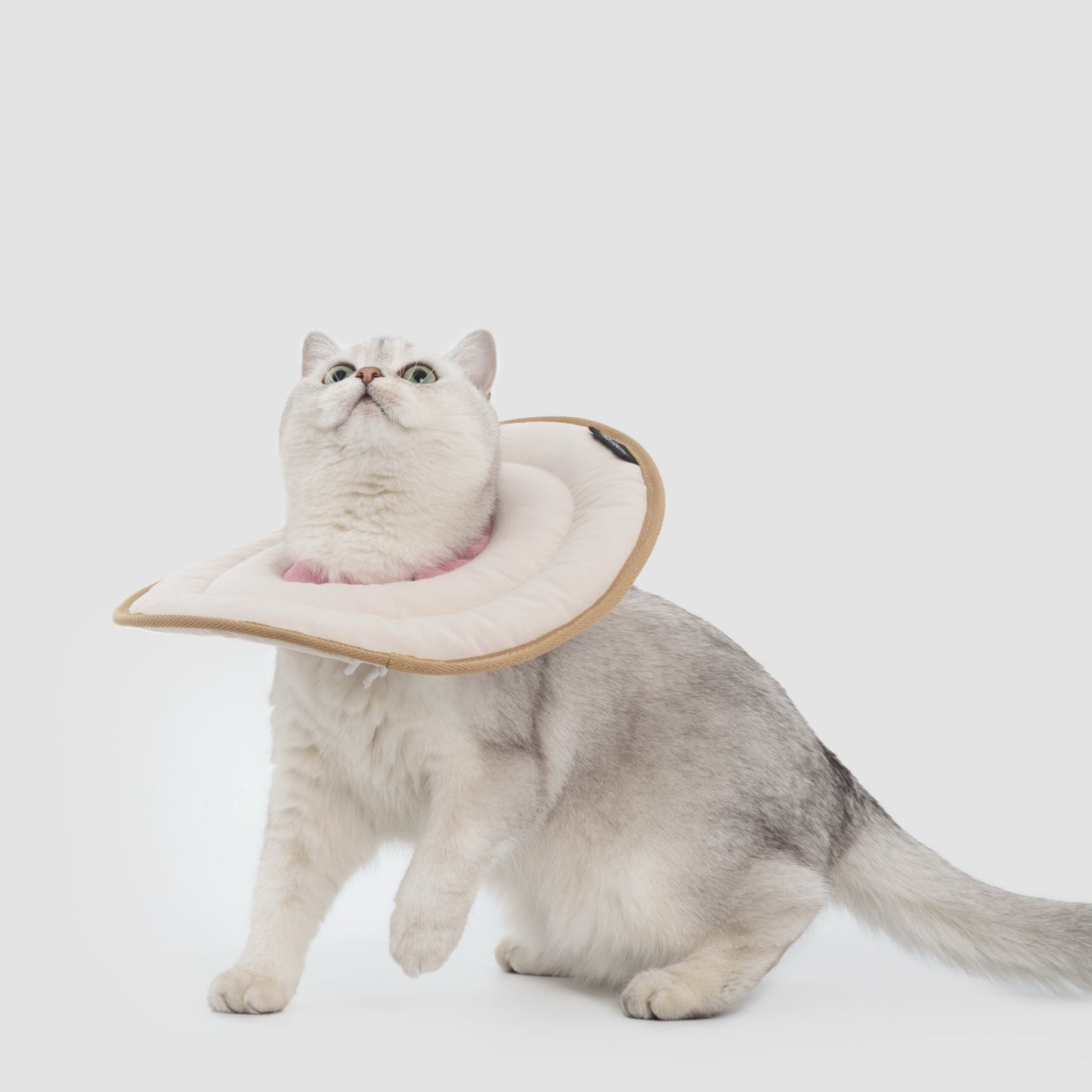 Donut Pet Recovery Collar