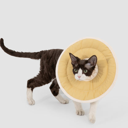 Donut Pet Recovery Collar