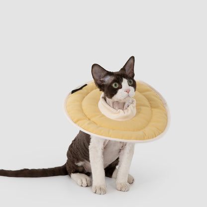 Donut Pet Recovery Collar