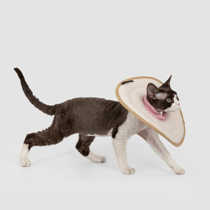 Donut Pet Recovery Collar