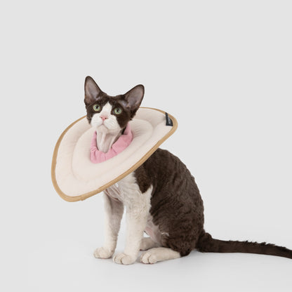 Donut Pet Recovery Collar
