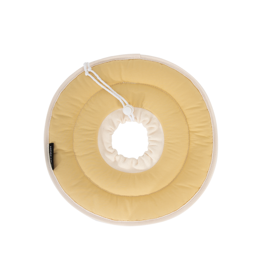 Donut Pet Recovery Collar