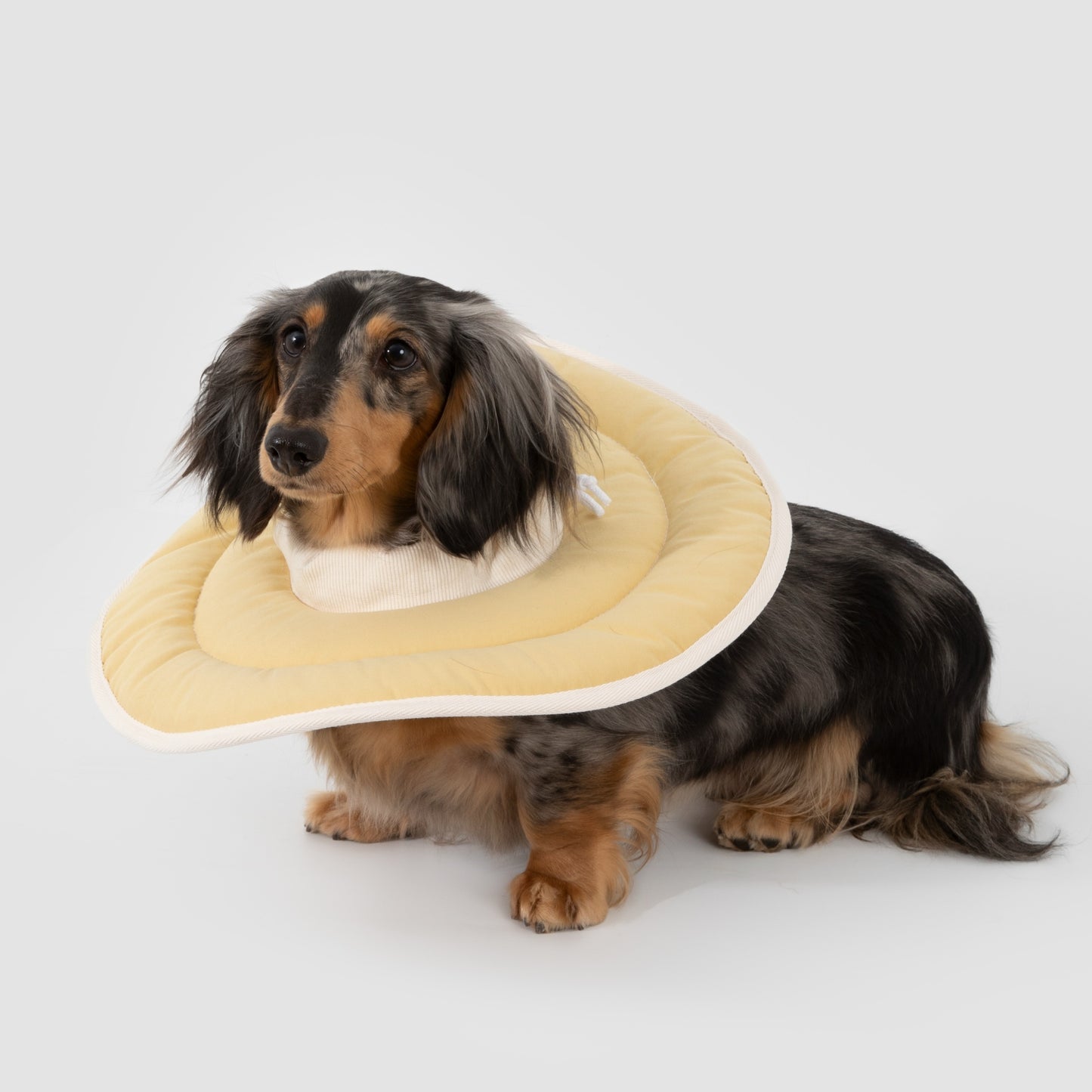 Donut Pet Recovery Collar