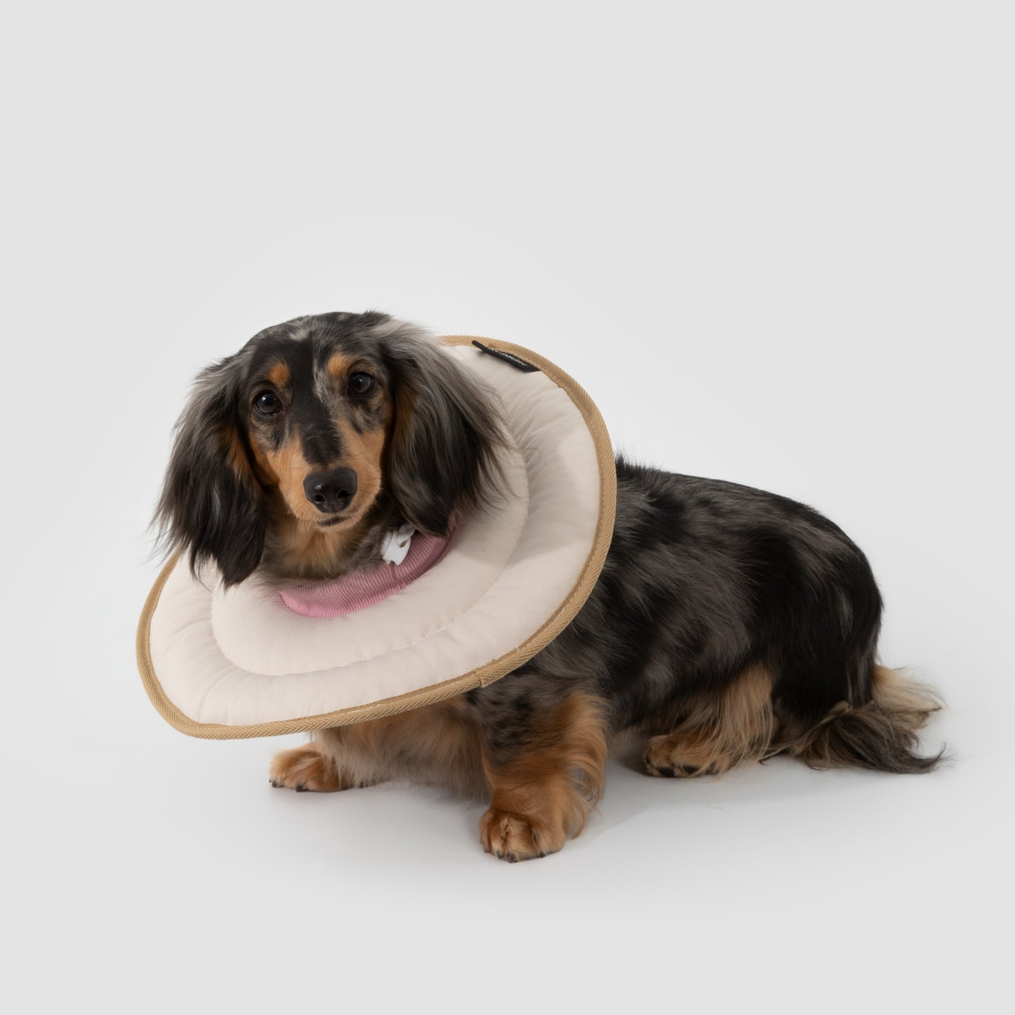 Donut Pet Recovery Collar