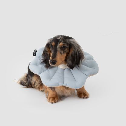 Two-Tone Petal Recovery Collar