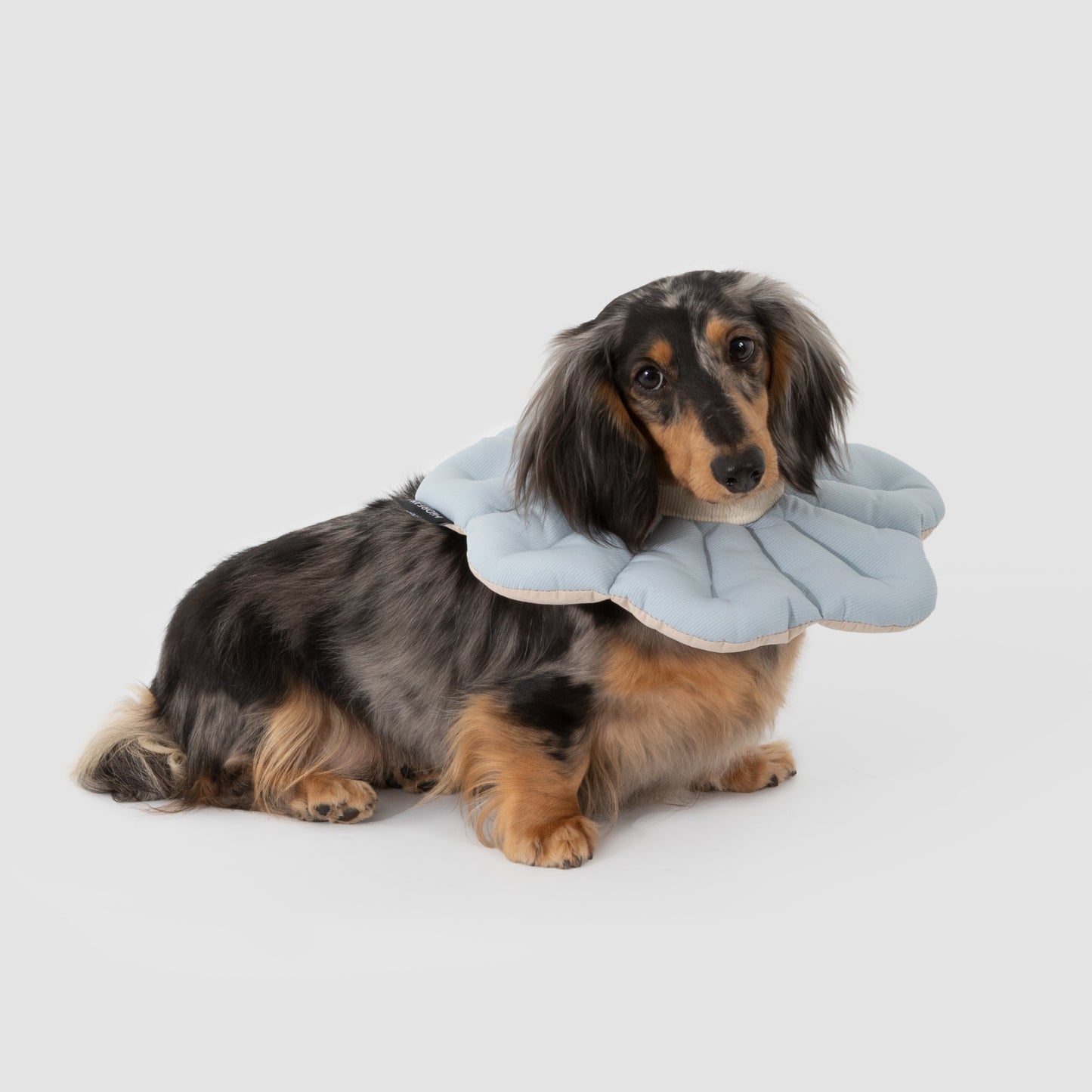 Two-Tone Petal Recovery Collar