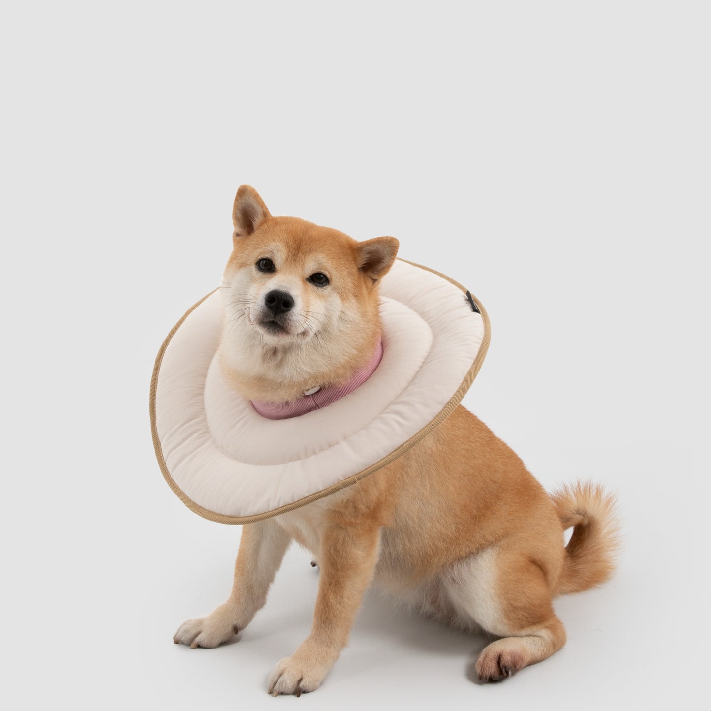 Donut Pet Recovery Collar
