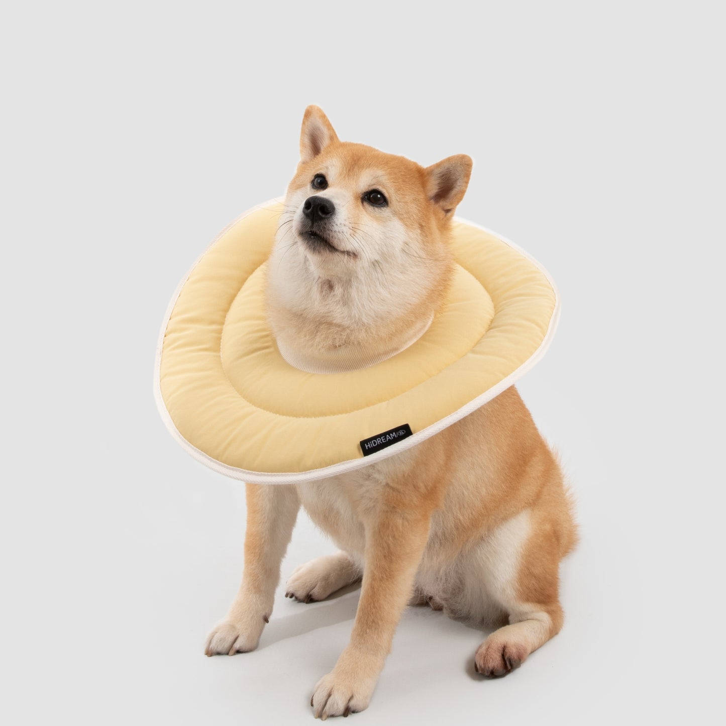 Donut Pet Recovery Collar