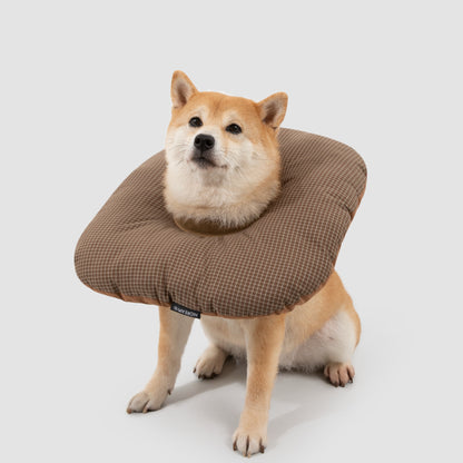 Toast Pet Recovery Collar