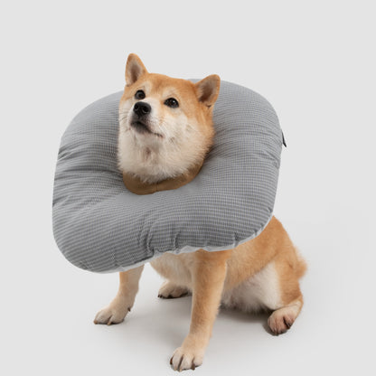 Toast Pet Recovery Collar