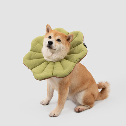 Two-Tone Petal Recovery Collar