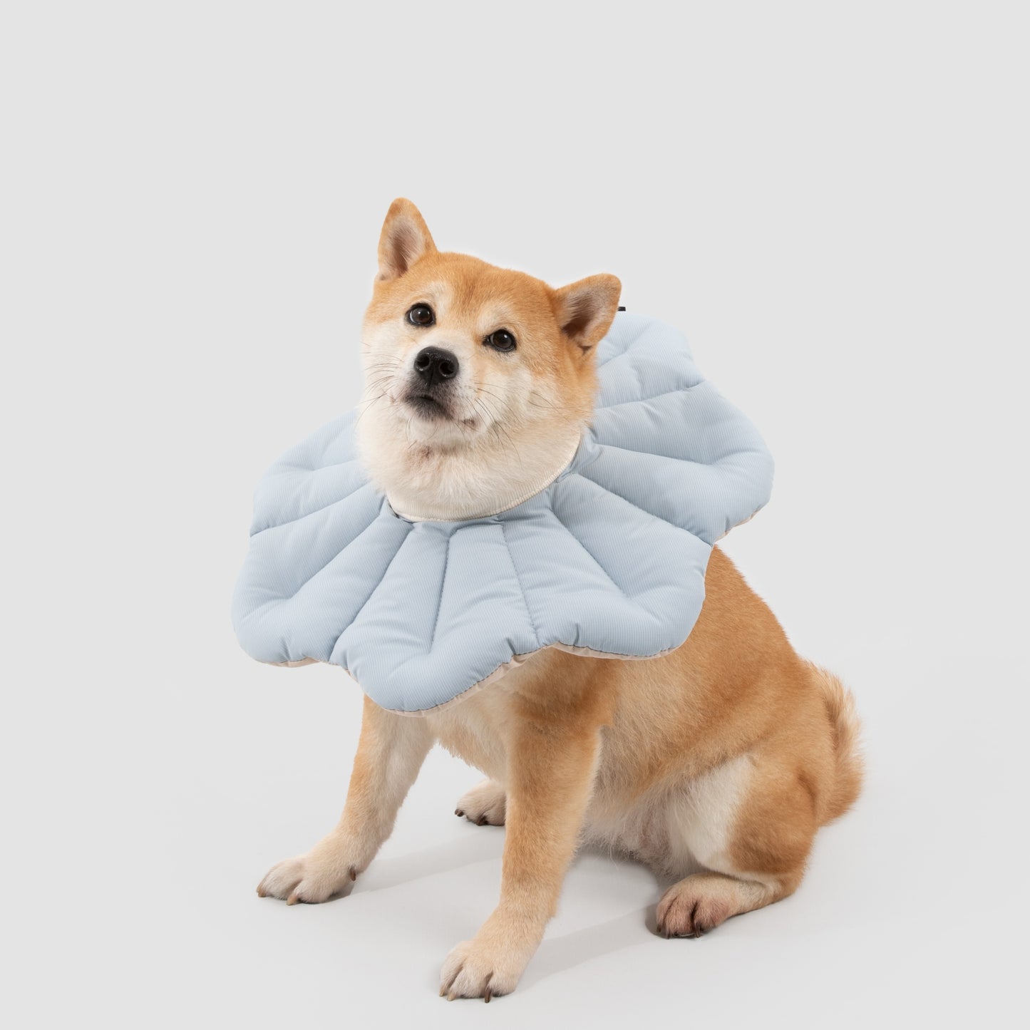 Two-Tone Petal Recovery Collar