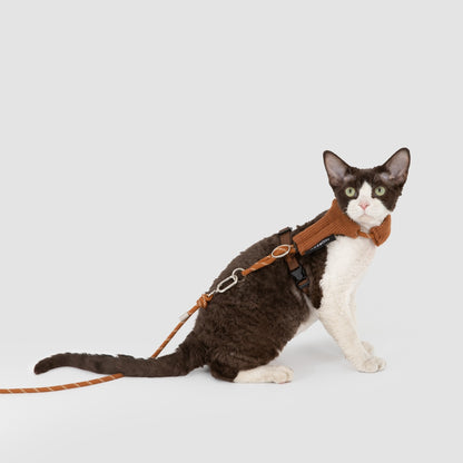 Hands-Free Cat Harness & Leash Set