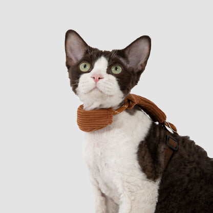 Hands-Free Cat Harness & Leash Set