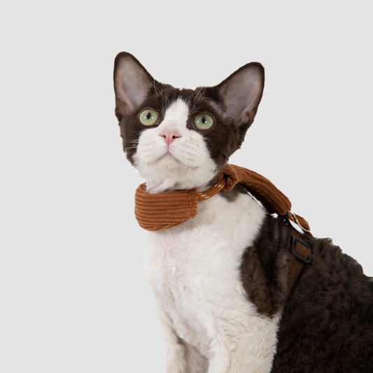 Hands-Free Cat Harness & Leash Set