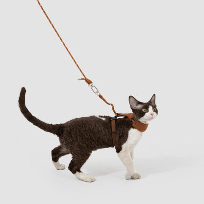 Hands-Free Cat Harness & Leash Set