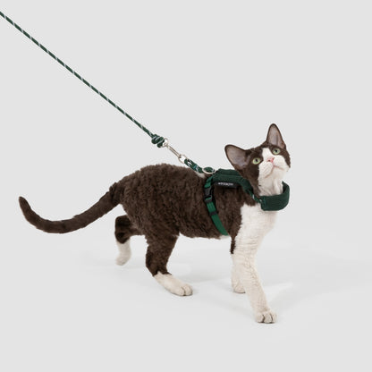 Hands-Free Cat Harness & Leash Set