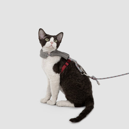 Hands-Free Cat Harness & Leash Set