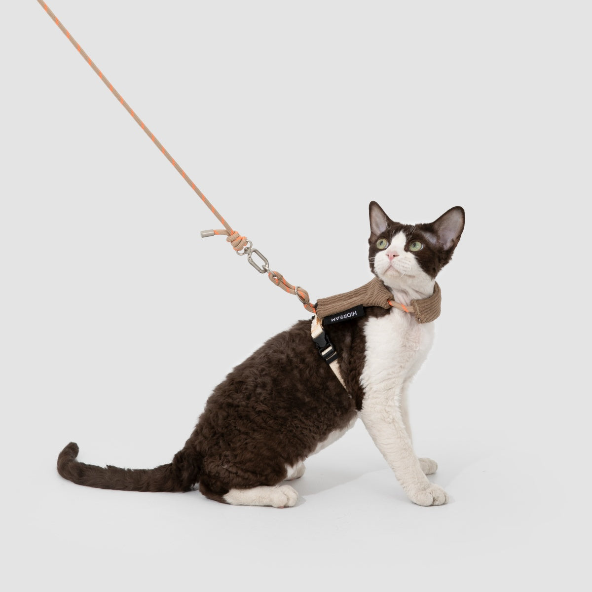 Hands-Free Cat Harness & Leash Set