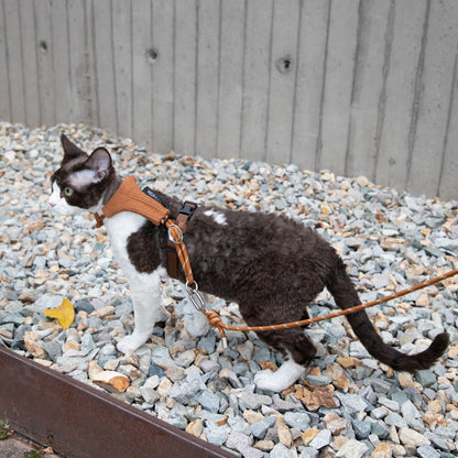 Hands-Free Cat Harness & Leash Set