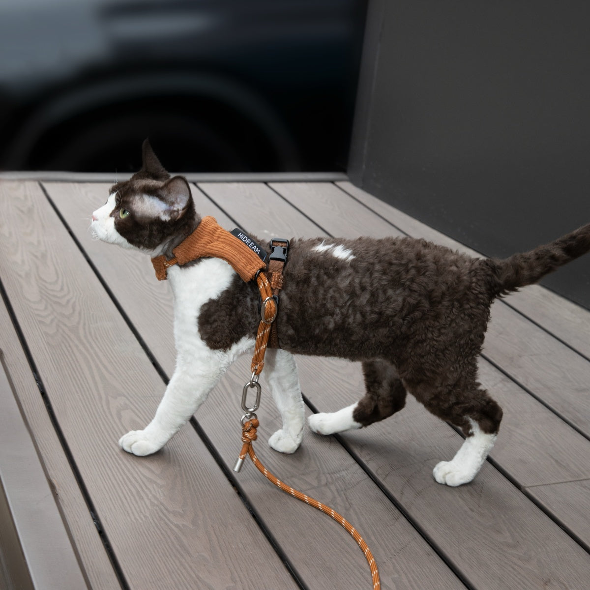 Hands-Free Cat Harness & Leash Set