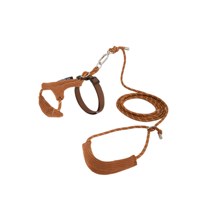 Hands-Free Cat Harness & Leash Set
