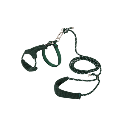 Hands-Free Cat Harness & Leash Set