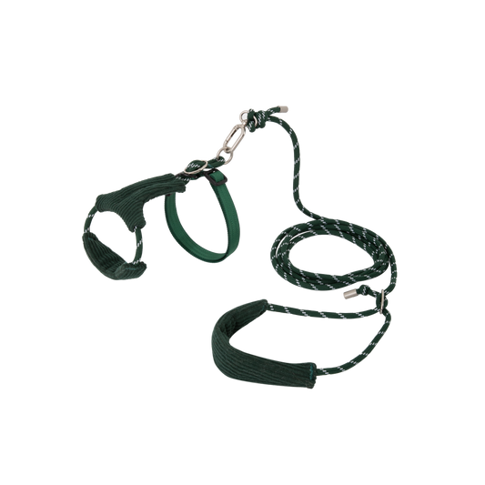 Hands-Free Cat Harness & Leash Set