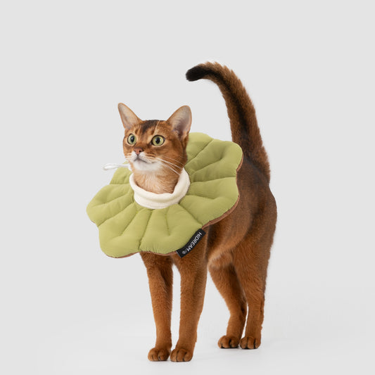 Two-Tone Petal Recovery Collar