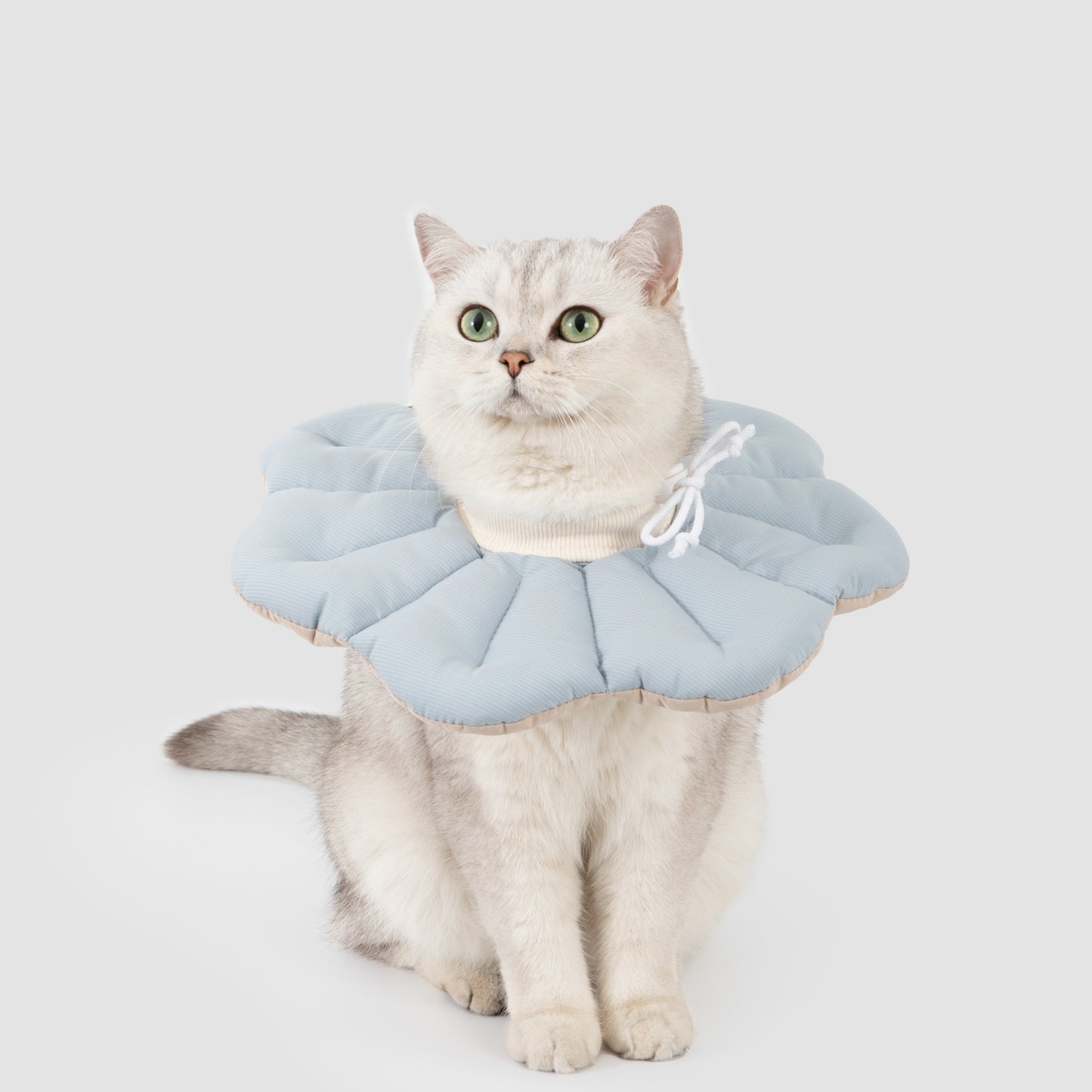 Two-Tone Petal Recovery Collar