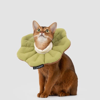 Two-Tone Petal Recovery Collar