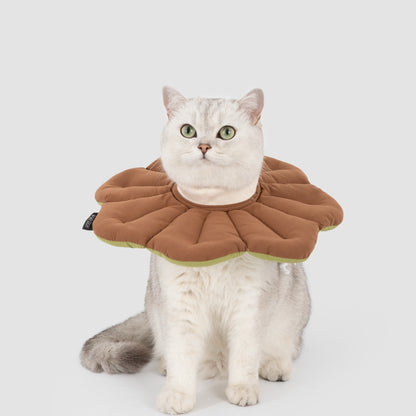 Two-Tone Petal Recovery Collar
