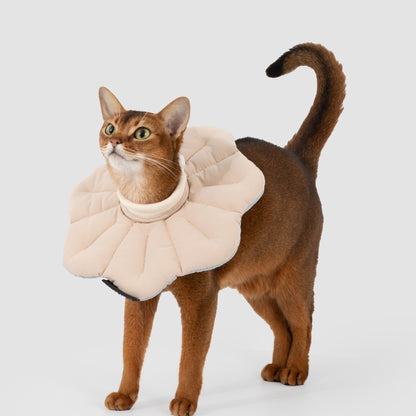 Two-Tone Petal Recovery Collar