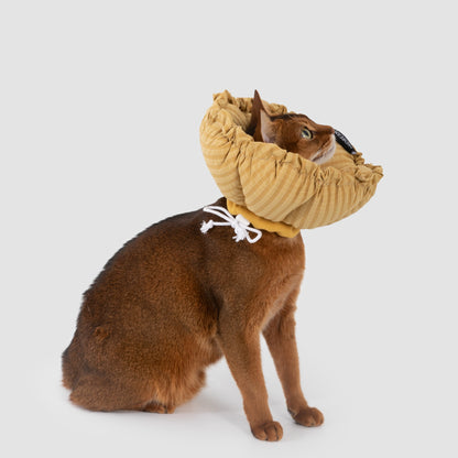 Plaid Flower Recovery Collar