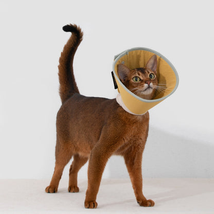 Snap-Button Cone Recovery Collar