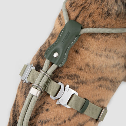 Round Rope Leather Dog Harness