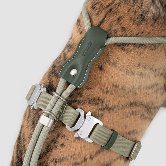 Round Rope Leather Dog Harness