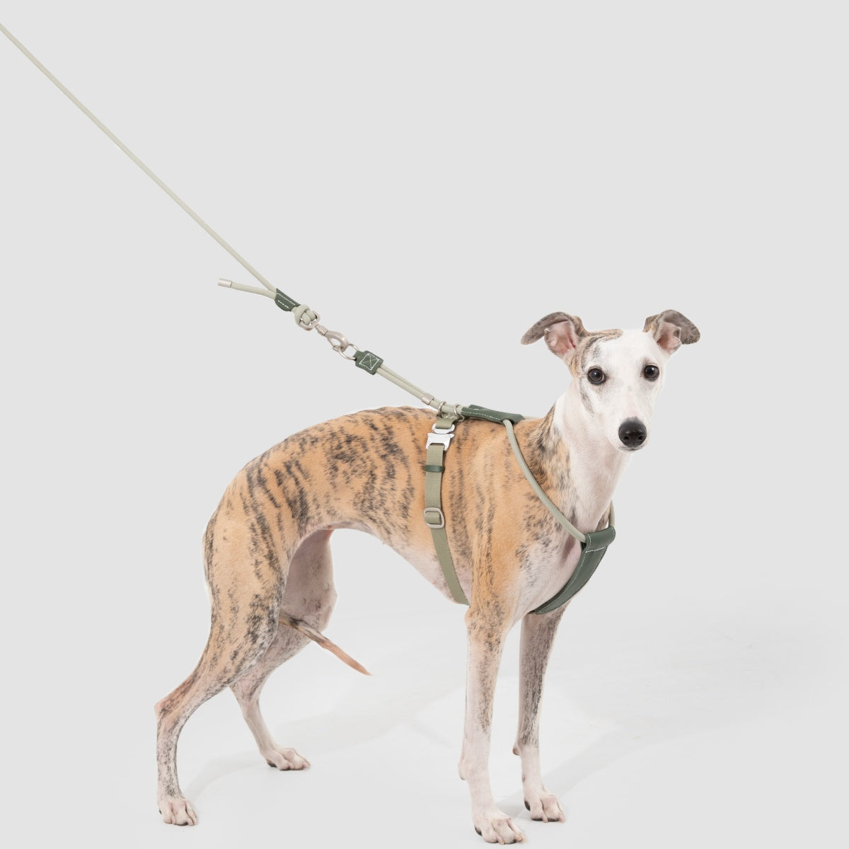 Round Rope Leather Dog Leash