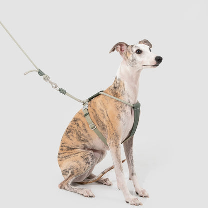 Round Rope Leather Dog Harness