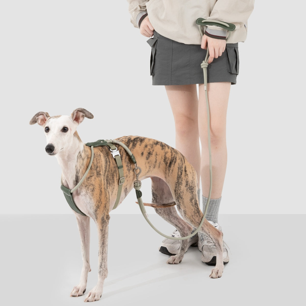 Round Rope Leather Dog Harness
