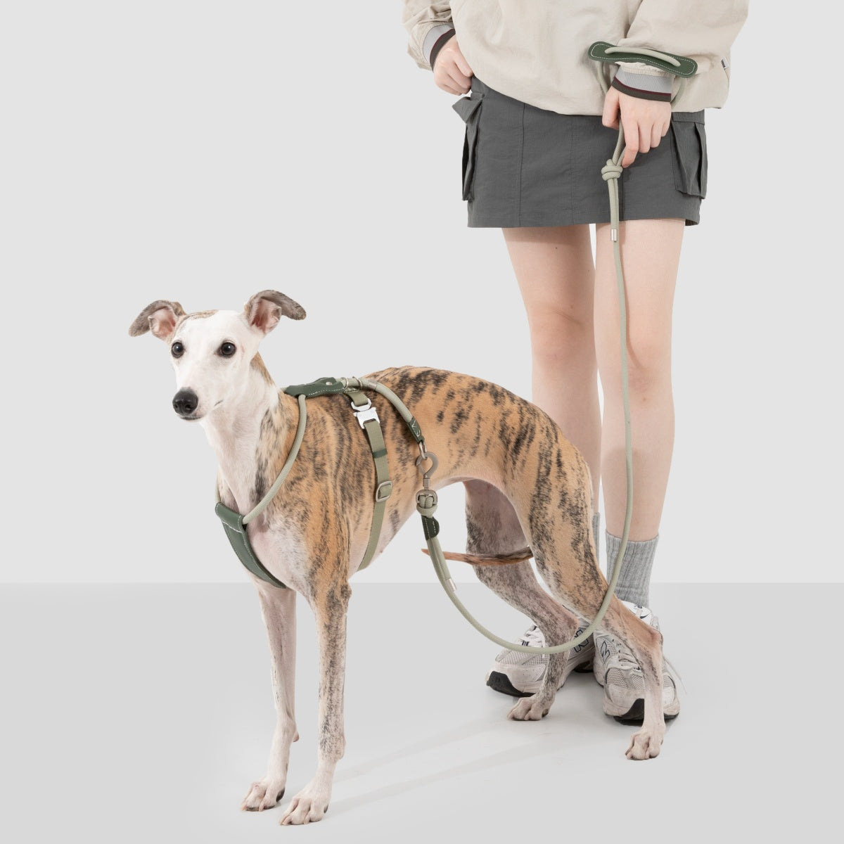 Round Rope Leather Dog Leash